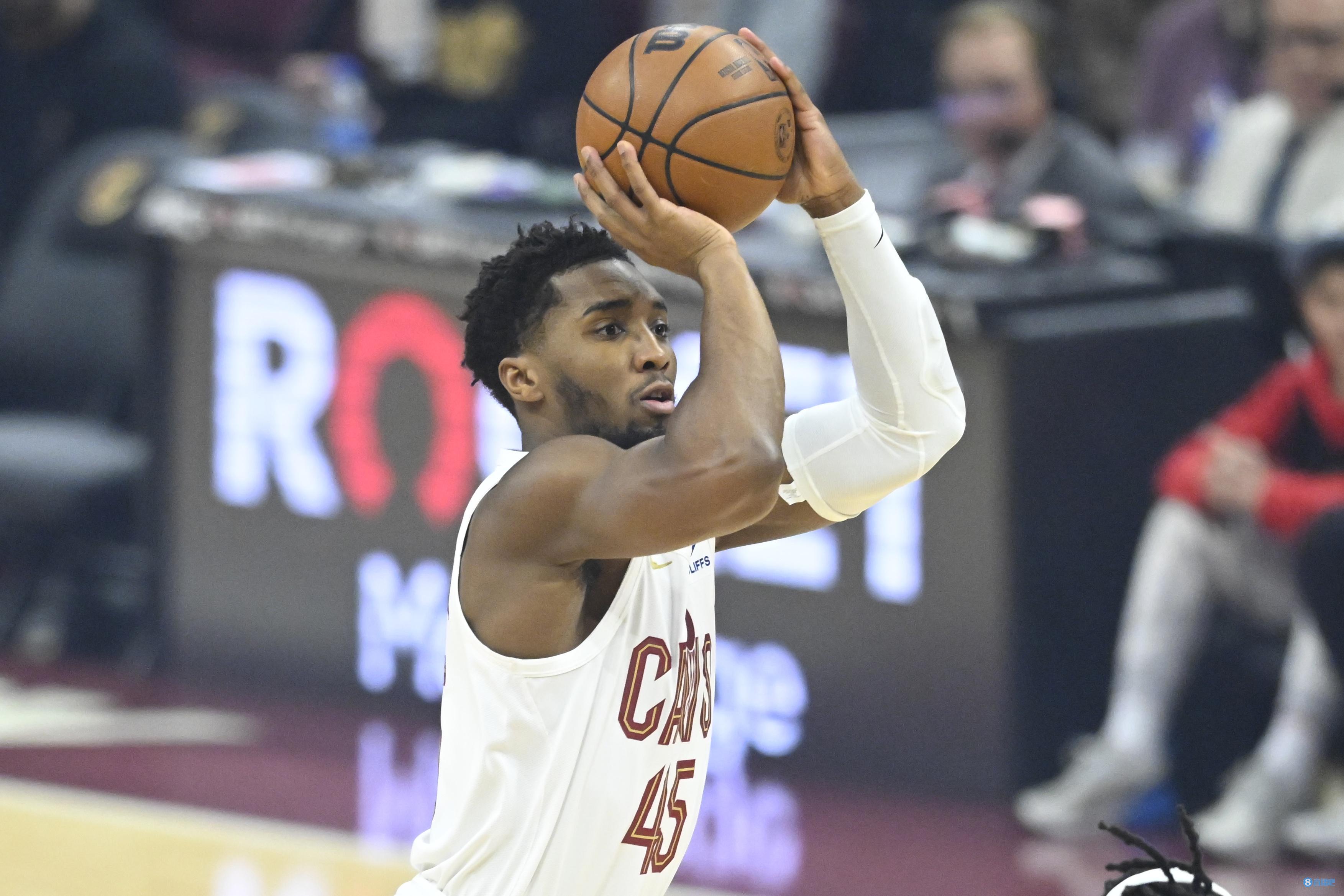 袜的胡须 袜的胡须